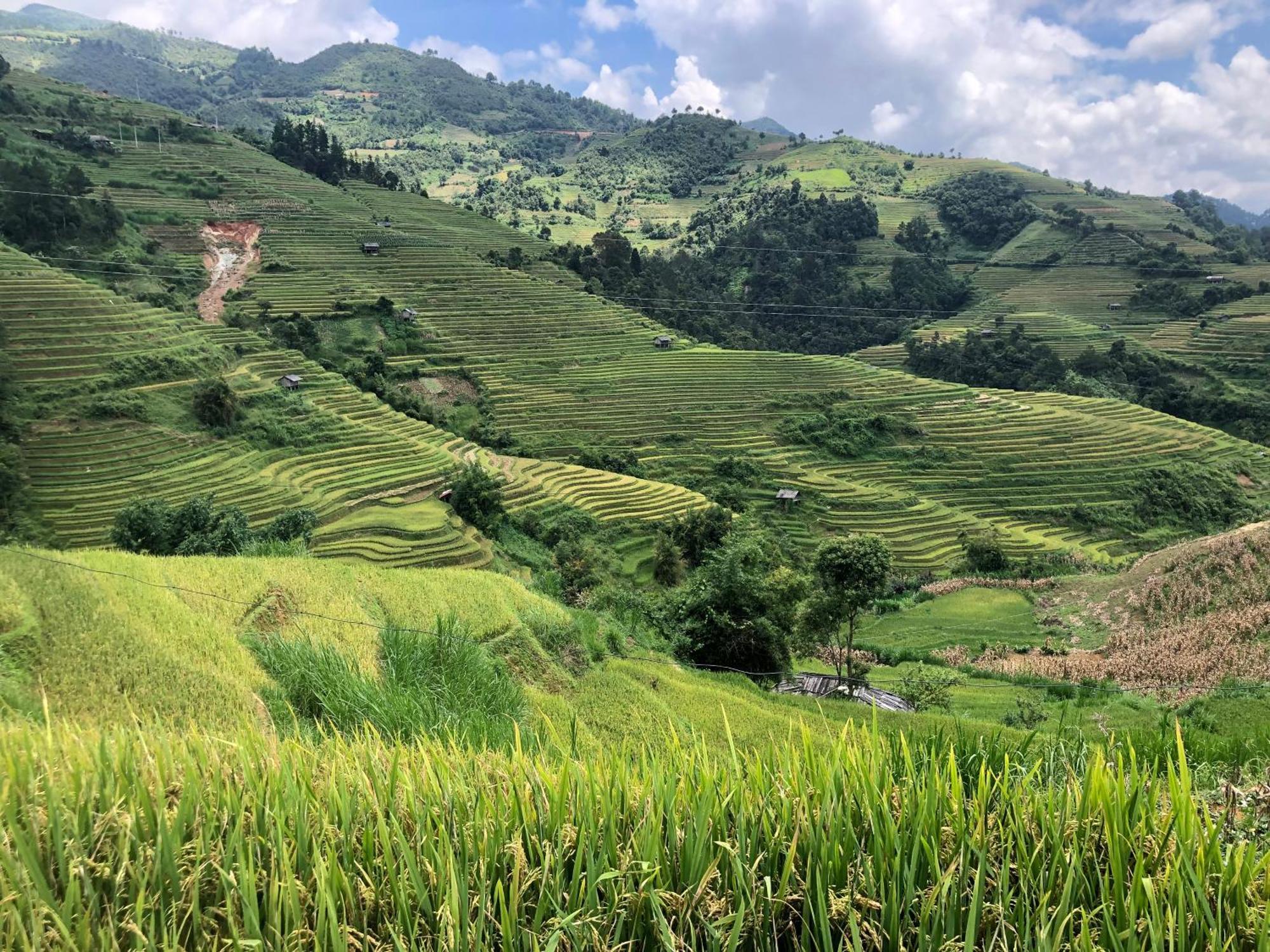 Do Gu Homestay Mu Cang Chai Exterior photo