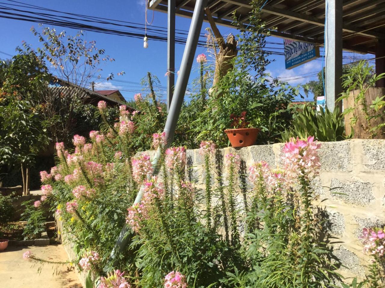 Do Gu Homestay Mu Cang Chai Exterior photo